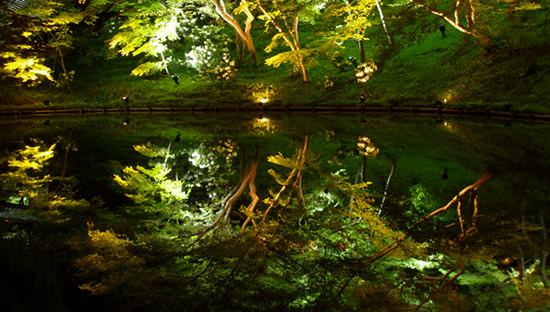 京都高台寺（寧々のお寺）の夜景